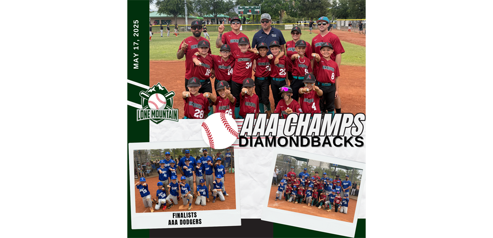 AAA Champions & Finalist