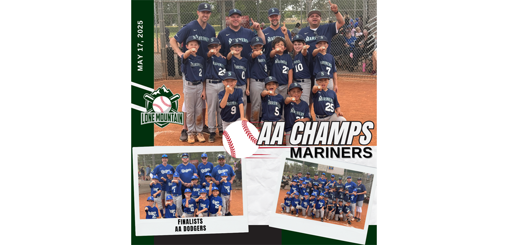 AA Champions & Finalist