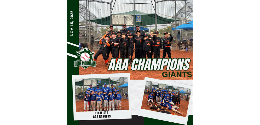 AAA Champions & Finalist